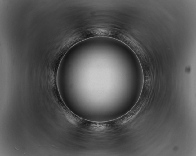 X0000098180469200804241225