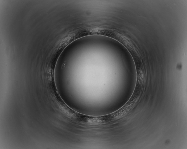 X0000098180470200804241225