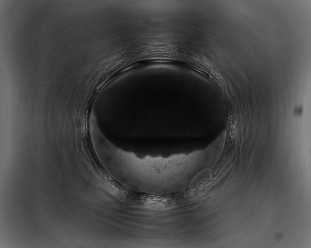 X0000098180471200804241225
