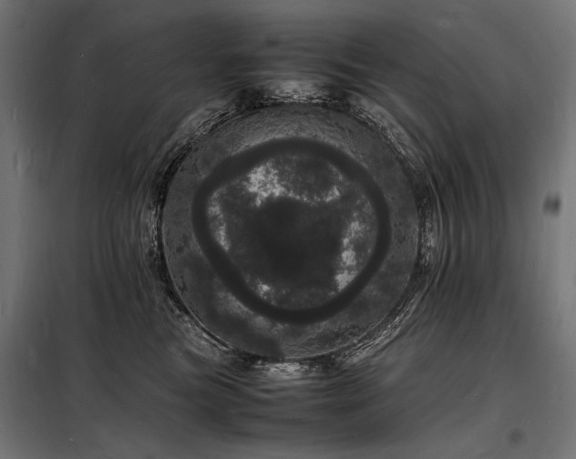 X0000098180473200804241226