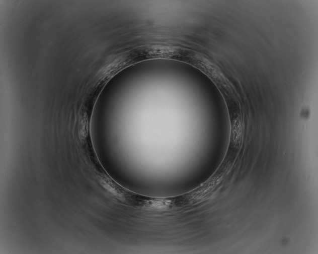 X0000098180474200804241226