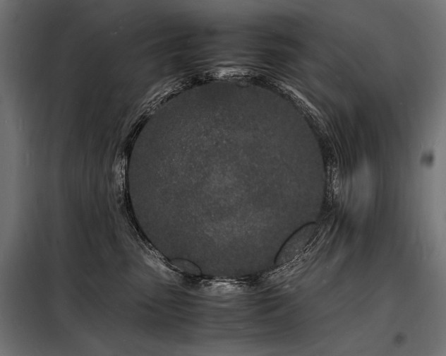 X0000098180475200804241226