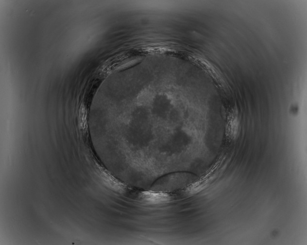 X0000098180477200804241226