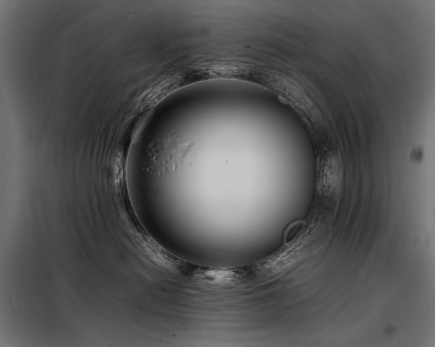 X0000098180478200804241226