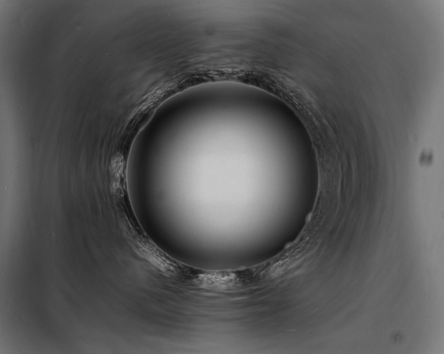 X0000098180480200804241226