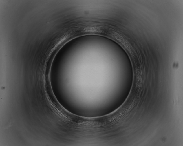 X0000098180482200804241225