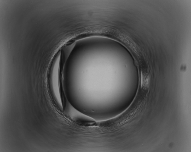 X0000098180483200804241225