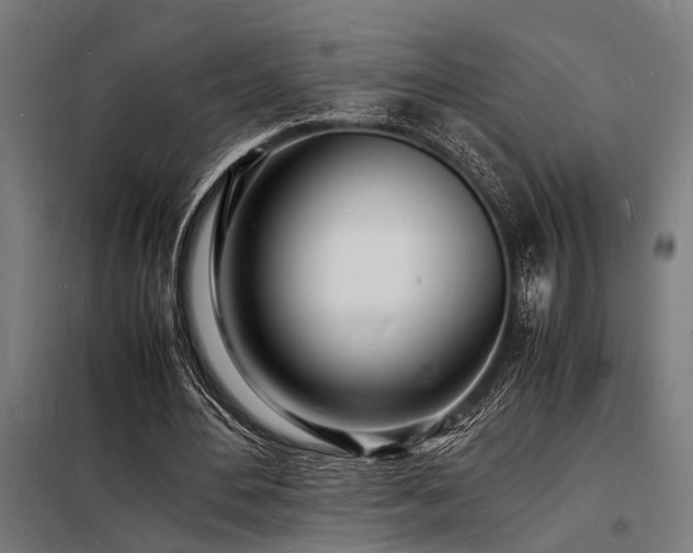 X0000098180484200804241225