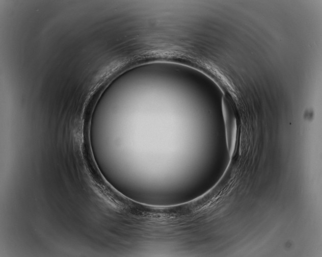 X0000098180486200804241225