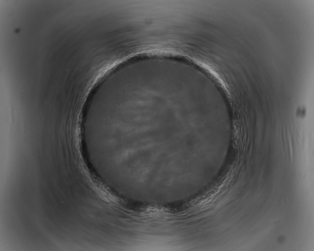 X0000098180487200804241225