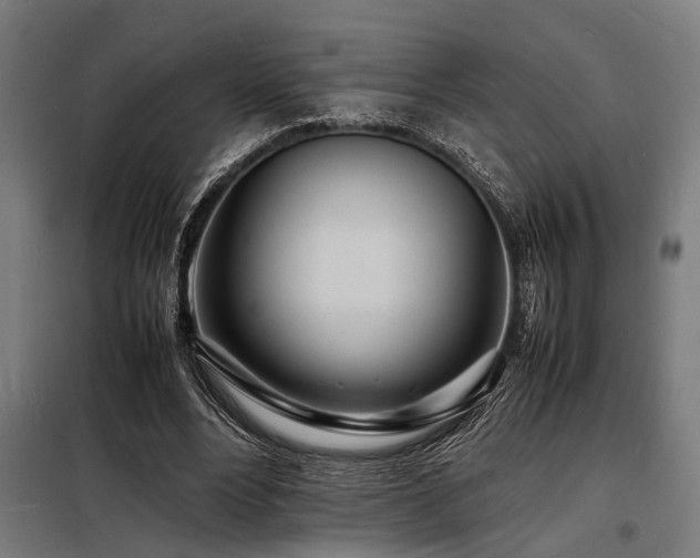 X0000098180488200804241225