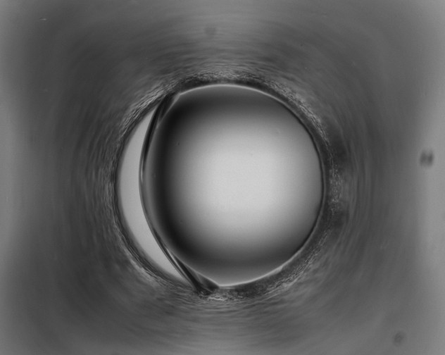 X0000098180489200804241225