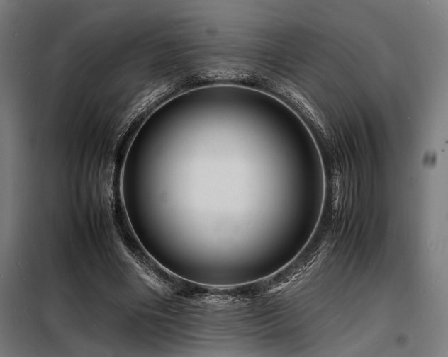 X0000098180490200804241225