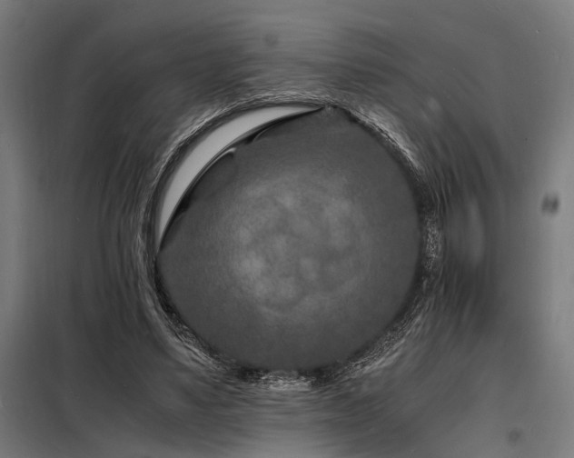 X0000098180491200804241225