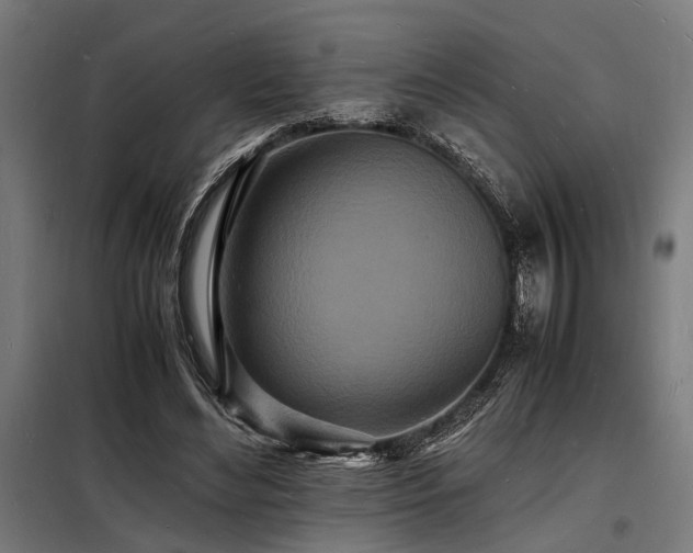 X0000098180492200804241225