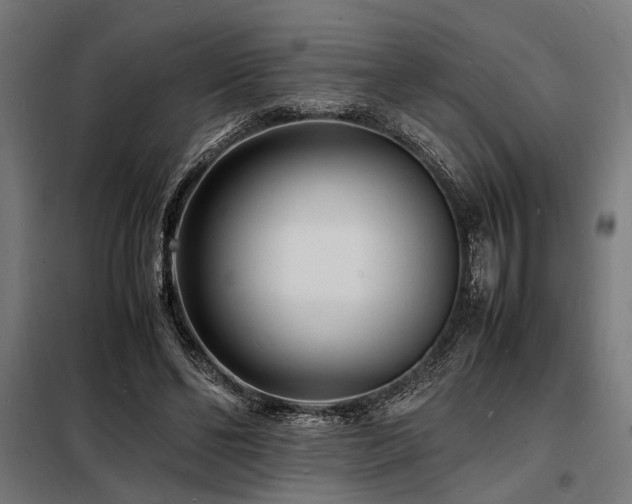 X0000098180494200804241225