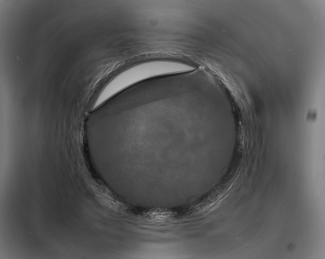 X0000098180495200804241225
