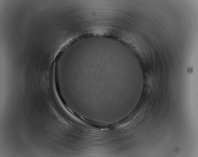 X0000098180496200804241225