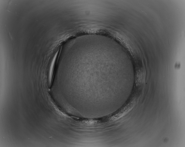 X0000098180497200804241225