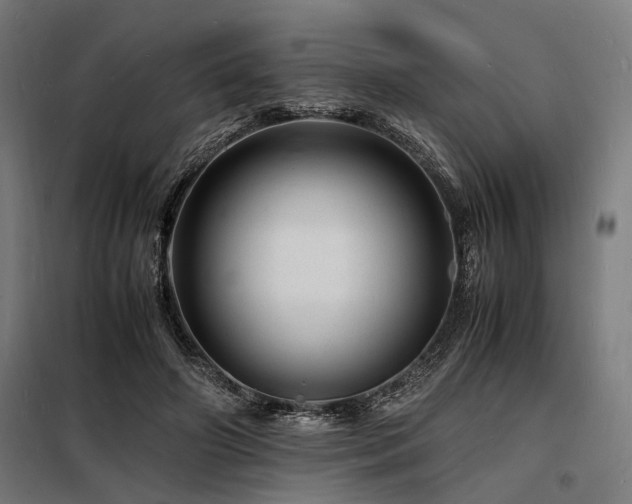 X0000098180498200804241225