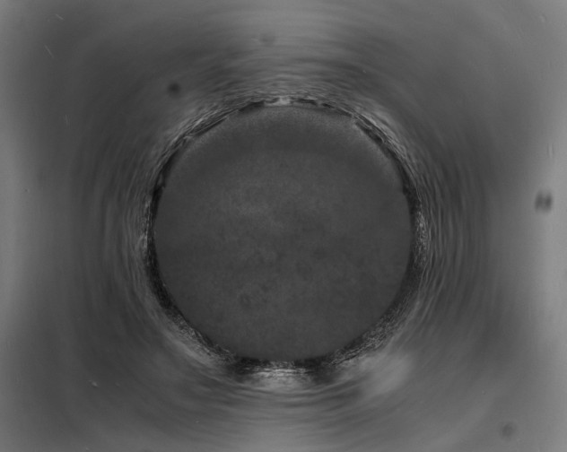 X0000098180499200804241225