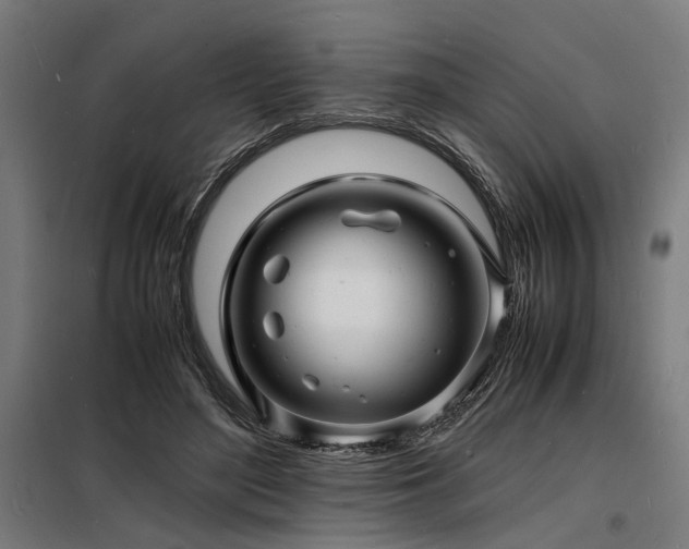 X0000098180500200804241225
