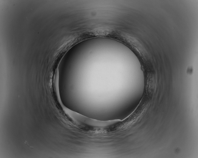 X0000098180501200804241225