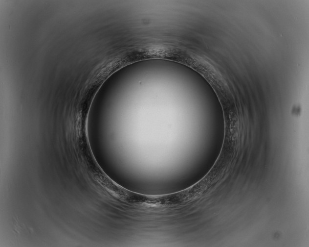 X0000098180502200804241225