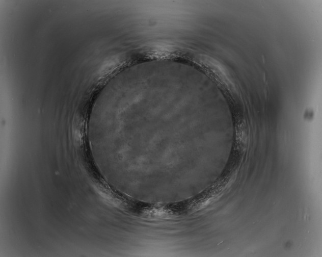 X0000098180503200804241225