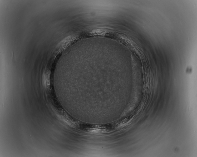 X0000098180504200804241225