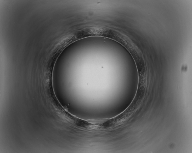 X0000098180505200804241225