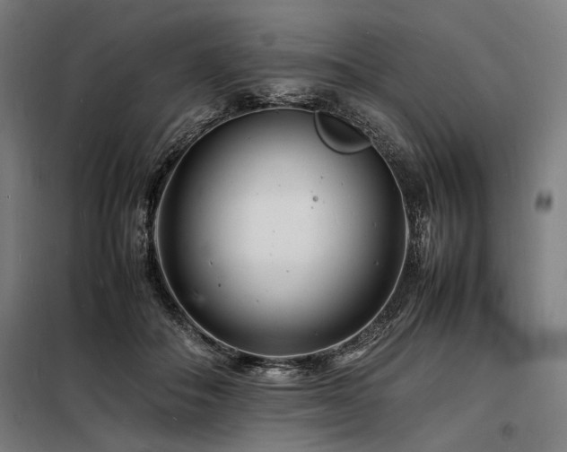X0000098180506200804241225
