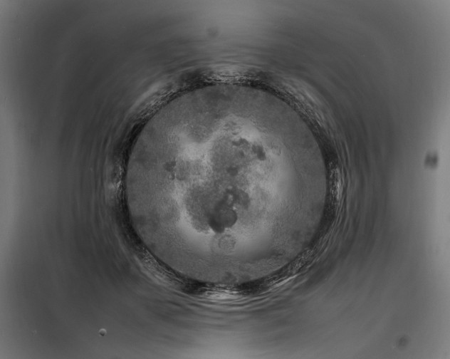 X0000098180507200804241225