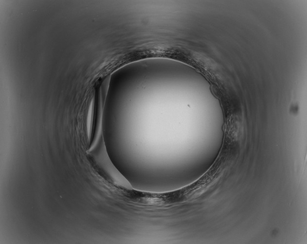 X0000098180509200804241225