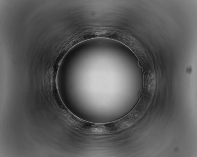 X0000098180510200804241225