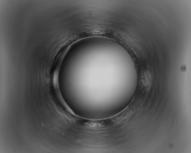 X0000098180512200804241225