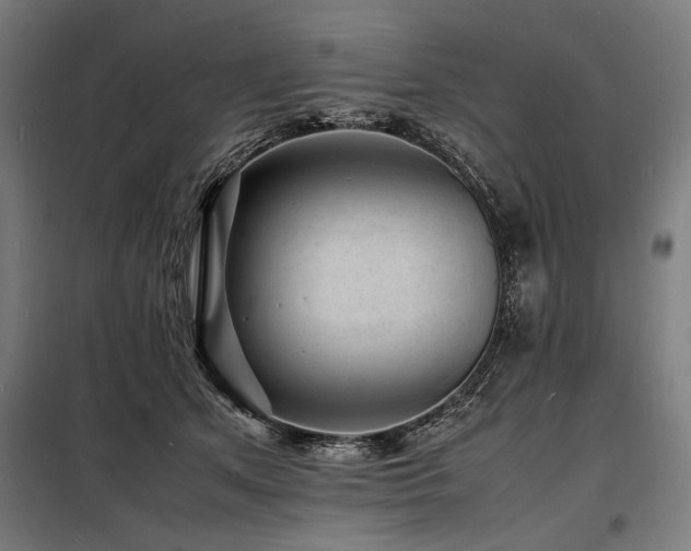 X0000098180513200804241224