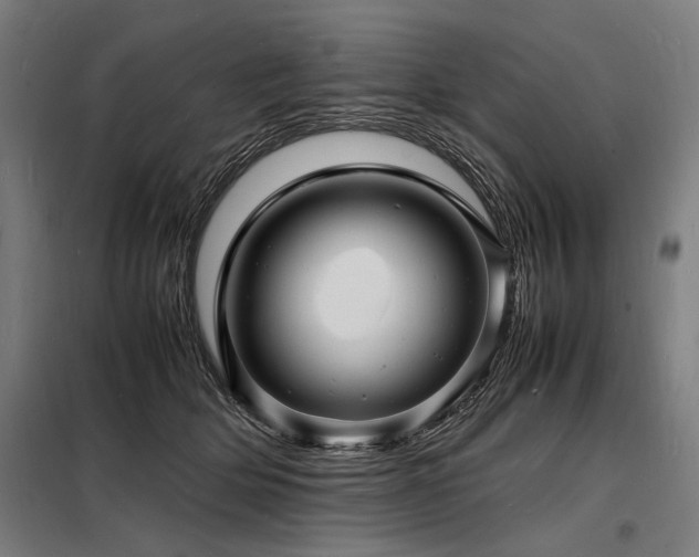 X0000098180514200804241224