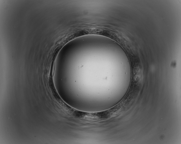 X0000098180515200804241224