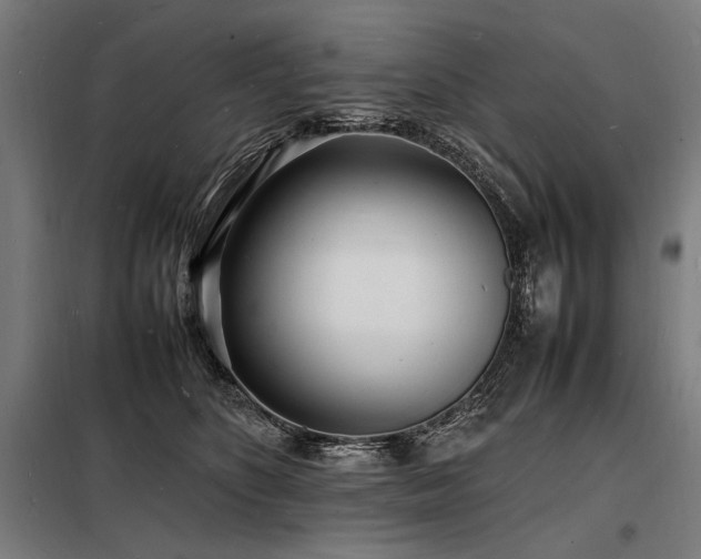X0000098180516200804241224