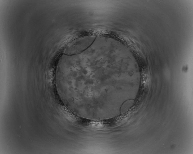 X0000098180519200804241224