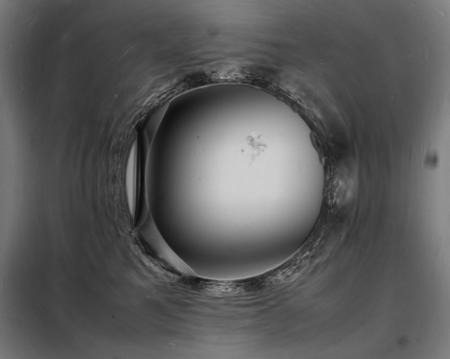 X0000098180521200804241224