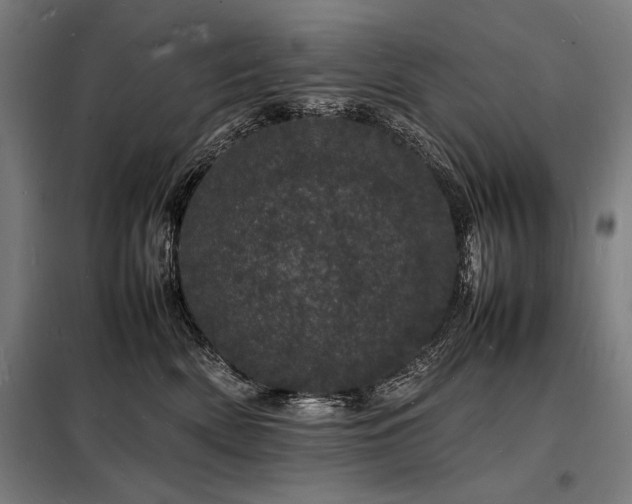 X0000098180522200804241224