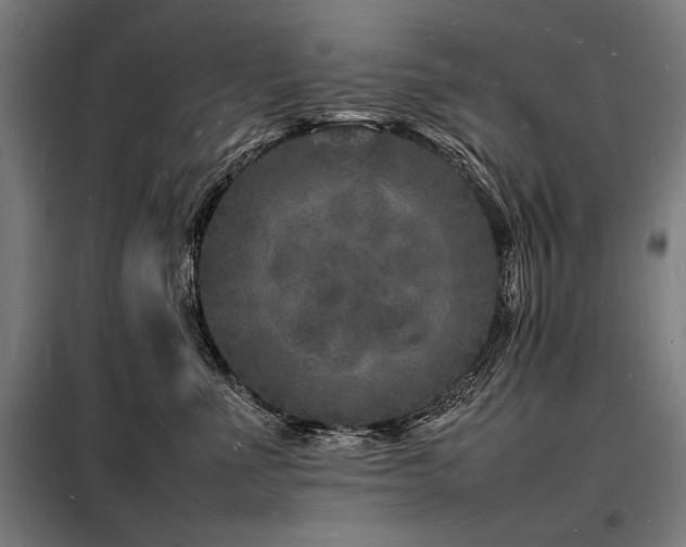 X0000098180523200804241224