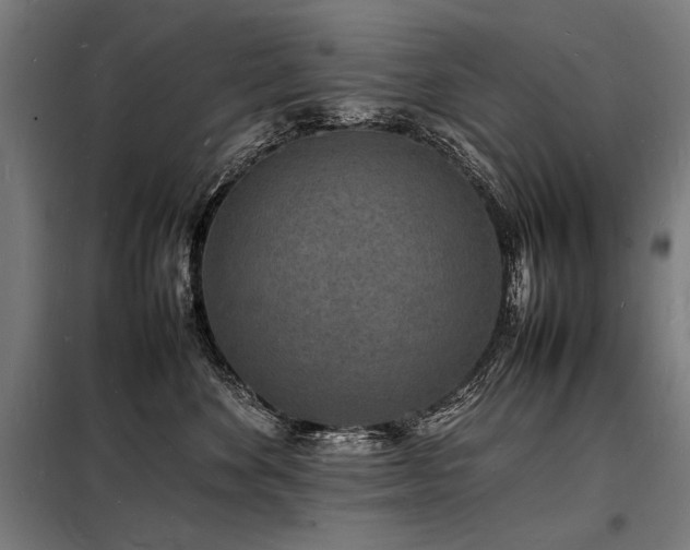 X0000098180524200804241224