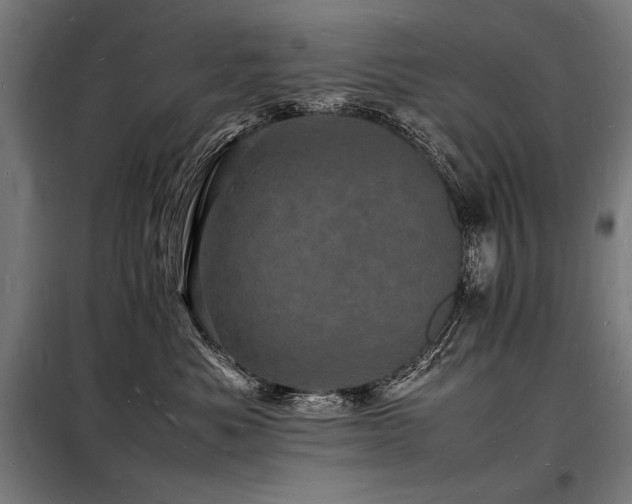 X0000098180525200804241224