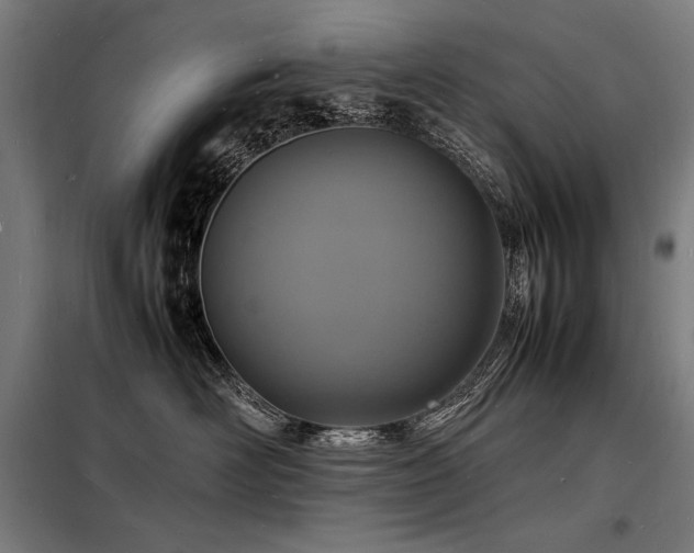 X0000098180526200804241224