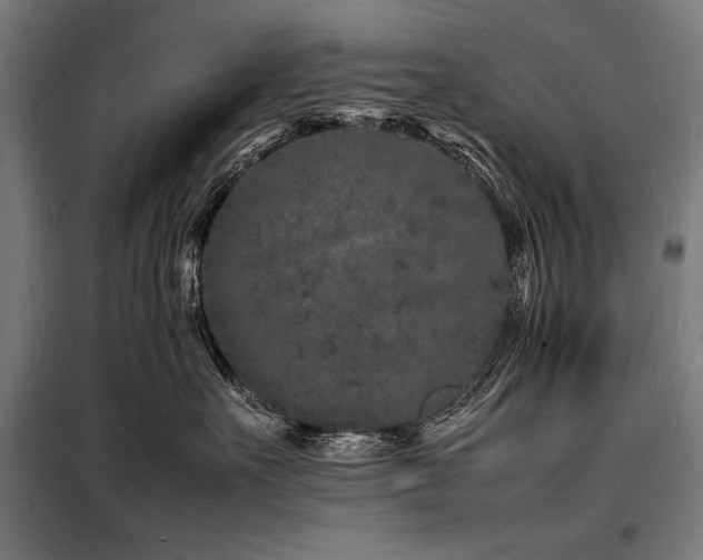 X0000098180527200804241224