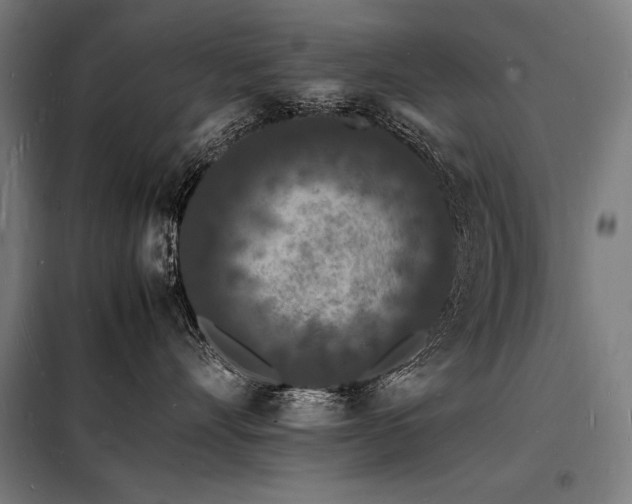 X0000098180528200804241224