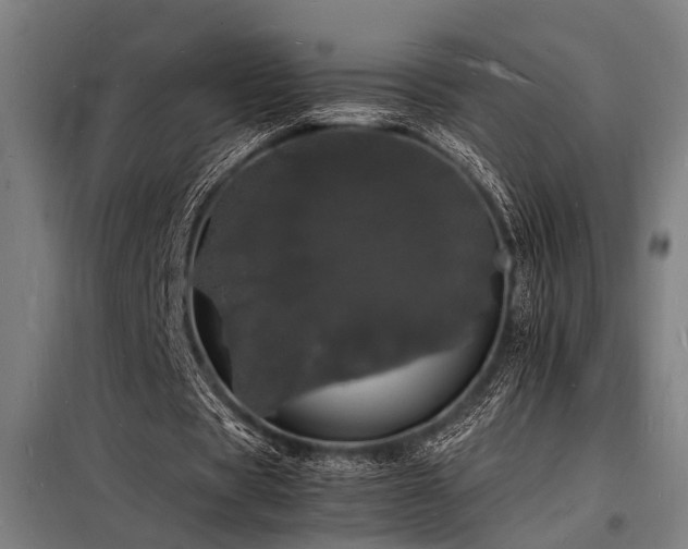 X0000098180529200804241223
